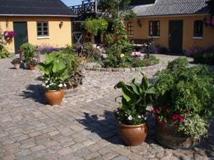august2009 019